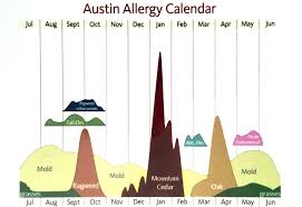 Austin Allergies Jeremy Blain Smith Realtor