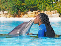 Find the latest nélson semedo news, stats, transfer rumours, photos, titles, clubs, goals scored this season and more. Nelson Semedo Aproveita Ferias A Dois No Algarve Tv 7 Dias