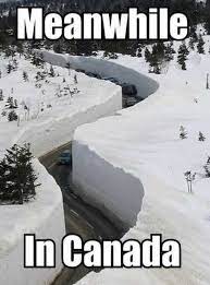 The Funniest Snow Memes Ever With Images Canada Funny Canada Memes Best Memes