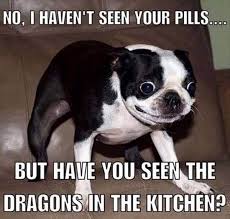 75 Funny Quotes And Sayings Short Quotes That Are Funny Words Dreams Quote