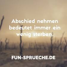 Abschied Nehmen Bedeutet Immer Ein Wenig Sterben Fun Spruche Spruche Zitate Coole Spruche Spruche