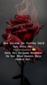  Happy Rose Day Quotes Valentines Day Quotes For Him Rose Day Shayari Love Song Quotes