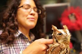 Pictures: VersAbility art show