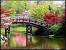 Wallpaper Nature Sceneries