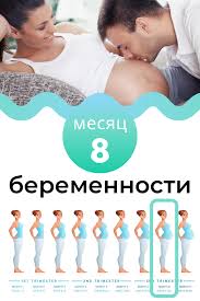 31 35 Nedelya Beremennosti Chego Ozhidat 35 Ssw Ssw 32 Ssw