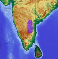 Ulrich (who originally went to the us from denmark to play tennis) had, during that. Poecilotheria Metallica Wikipedia