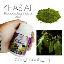 Image result for Hippocratea indica