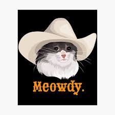 Check spelling or type a new query. Sad Cat Wearing A Cowboy Hat Meme Poster By Celestialhco Redbubble