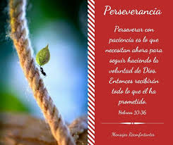 Perseverar Con Paciencia Es Lo Que Necesitan Ahora Para Seguir Haciendo La Voluntad De Dios Entonces Recibiran Todo Lo Que El Ha Prometido Hebreos 10 36 Ntv