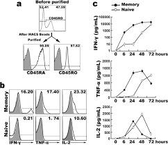 Cytokines transmit signal from cell to cell in an organism. Human Memory But Not Naive Cd4 T Cells Expressing Transcription Factor T Bet Might Drive Rapid Cytokine Production Journal Of Biological Chemistry