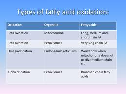 Ppt Oxidation Of Fatty Acids And K Etogenesis Powerpoint Presentation Id 2055272