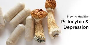 Image result for Psilocybin