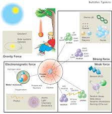 Four Fundamental Forces Of Nature Physics Gravity Nobel Prize In Physics