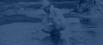 Maybe you would like to learn more about one of these? Environmental Group Services Guardian Group Inc