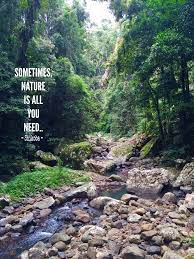 Sometimes Nature Is All You Need Shikoba Wild Woman Sisterhood Wildwomansisterhood Wildwomen Wi Nature Quotes Adventure Nature Quotes Adventure Quotes
