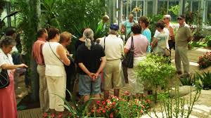Jardin Camifolia Les Visites Et Animations De Groupe Pour Adultes