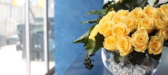 Yellow flower meanings in history. The Meaning Of Yellow Roses Verdissimo