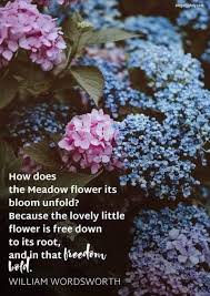 Everything Can Be Taken From A Man But One Thing The Last Of Human Freedoms To Choose One S Attitude In Any Given In 2020 Flower Quotes Meadow Flowers The Meadows