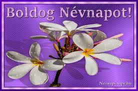 We did not find results for: Virag Lila Hatterrel Nevnapi Kepeslap Noknek Floral Rings Flowers Floral