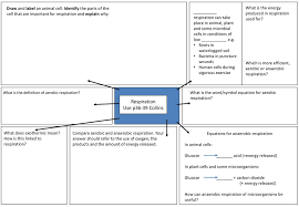 Check spelling or type a new query. Equations For Anaerobic Respiration Ppt Download
