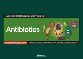 Antibiotics Nursing Pharmacology Study Guide