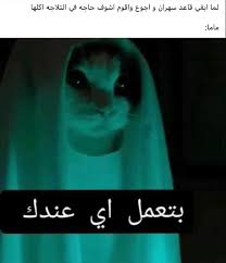 Pin By Imen Imen On مضحك أو صحيح Funny Prank Videos Funny Picture Jokes Funny Reaction Pictures
