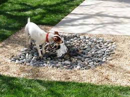 8 Backyard Ideas To Delight Your Dog Dog Backyard Dog Friendly Garden Dog Yard