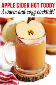 Apple Cider Hot Toddy A Warm And Cozy Whiskey Cocktail Rhubarbarians Recipe Apple Cider Hot Toddy Hot Toddies Recipe Toddy Recipe
