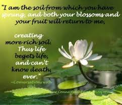 We did not find results for: Quotes About Death And Flowers Quotesgram