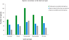 Image result for Hyparrhenia anthistirioides