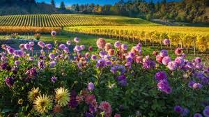 Here are some helpful navigation tips and features. Willamette Valley Visit The Usa