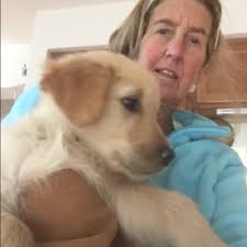 For Luncheon and Supper Guests : Alice, Bradley: Amazon.in: Books