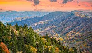 10 Best Things To Do On A Great Smoky Mountains National Park Vacation