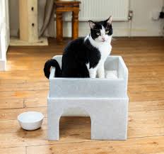 How to choose the best cat bed | Blog