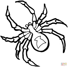 Check out our spiderman halloween selection for the very best in unique or custom, handmade pieces from our shops. 11 Pics Of Spider Man Halloween Coloring Pages Halloween Spider Free Coloring Library