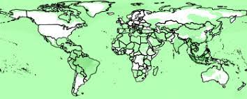 Welcome in padang project, development and information potensi & peluang investasi padang pengolahan cpo(crude palm oil) peluang investasi dibidang. Maps Global Mammal Richness Grids 2015 Release Gridded Species Distribution Sedac