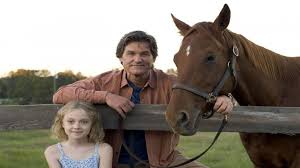 The best quality of racing in australia takes place at the metropolitan meetings, mainly taking place in victoria, new south wales and queensland although there are others. Horse Racing Movies 8 Best Horse Movies Of All Time The Cinemaholic