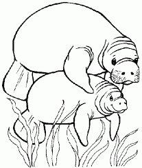 Manatee Coloring Pages Coloring Pages Coloring Book Pages Coloring Books