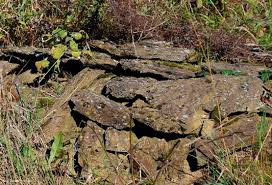 Steinhausen ist von wäldern umgeben und von hügeln durchzogen. Wilde Garten
