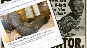 We did not find results for: Der Mumifizierte Krokodilmann Jake The Alligator Man