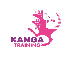 Guélor kanga, 30, from gabon red star belgrade, since 2020 attacking midfield market value: Kanga Training 1 Voerder Tanzsportclub Rot Weiss 1987 E V