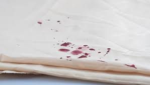 Once the stain is set, it's much more difficult to remove it. How To Remove Blood Stains The Ladies Room