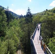 Harz national park stretches from a low mountain range near herzberg in the southern part of the mountains, across the harz massif to its northern slopes near bad harzburg and ilsenburg. Nationalpark Harz Bekampft Eingeschleppte Pflanzenarten Welt