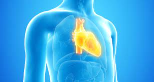 58 prozent der kinder müssen auf die intensivstation. Sars Cov 2 Studie Befurchtet Langzeitfolgen Fur Kinder Mit Mis C