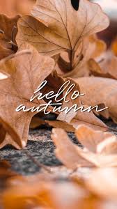 Wallpaper 7 Hello Autumn Fond Ecran Automne Fond D Ecran Telephone Fond Ecran Halloween