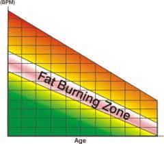 Fat Burning Zone And Cardio