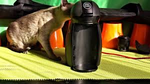 Discover nescafé dolce gusto, a wide range of new generation of pod coffee machines. Nescafe Dolce Gusto Piccolo Kavefozo Youtube