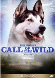 Maybe you would like to learn more about one of these? Call Of The Wild Tv Series 2000 Imdb
