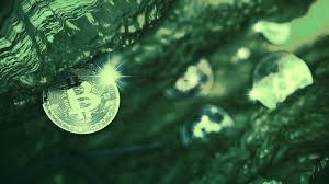 A typical mining software tracks your. The Best Bitcoin Mining Software November 2020 Decrypt