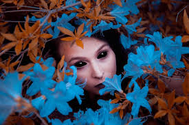 Evan Middleton Photography